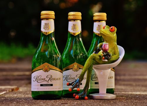 frog wine drink