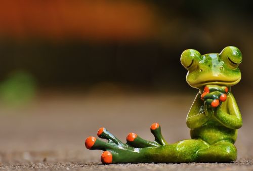 frog pray harmony