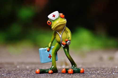 frog figure nurse