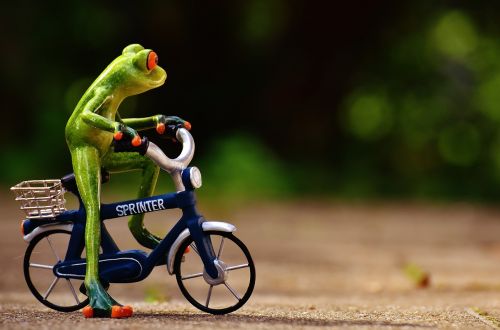 frog bike funny