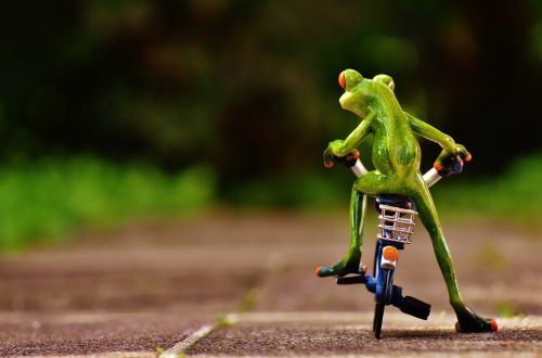 frog bike funny