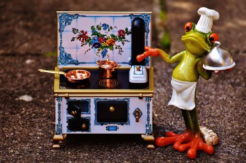 frog cooking stove