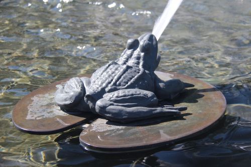 frog water fountain animal