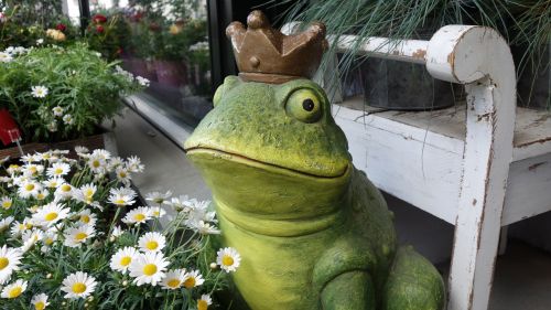 frog king prince