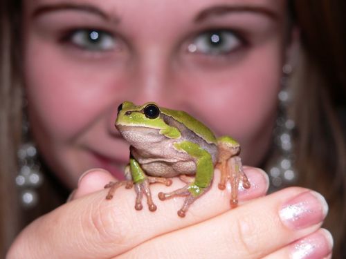 frog green girl