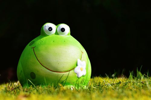 frog figure meadow