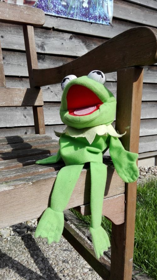 frog singing pop