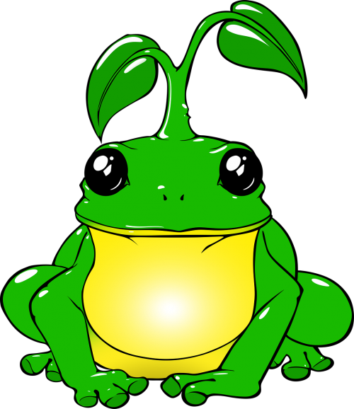 frog leaf animal