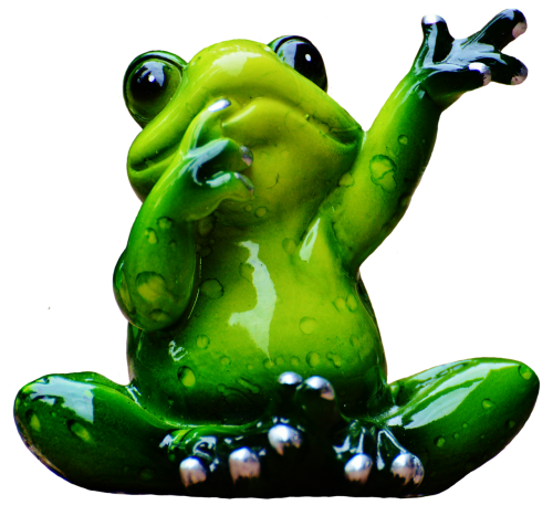 frog figure wave