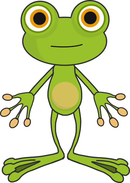 frog cartoon toad