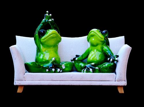 frog sofa relaxation