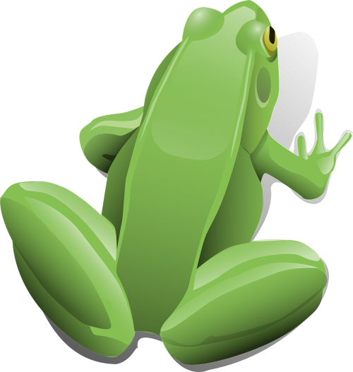 frog amphibian aquatic
