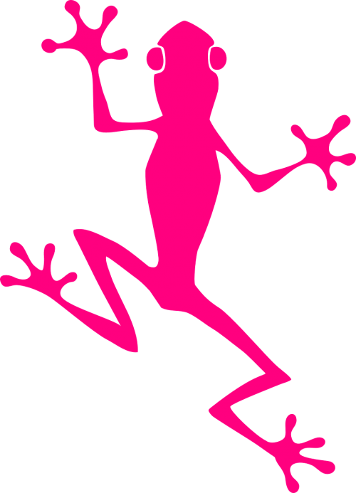 frog climb pink