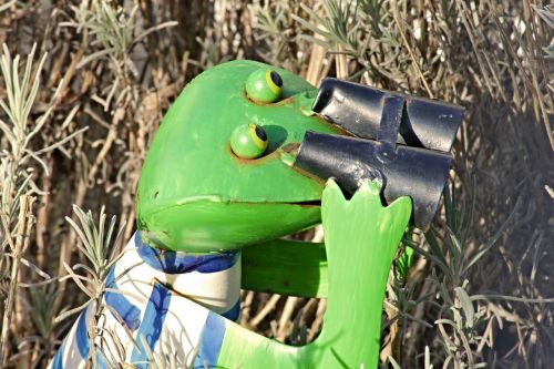 frog binoculars tensioner