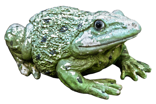 frog  green  figure