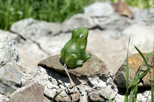 frog  stone  amphibian