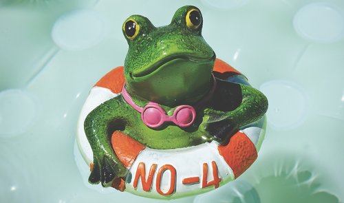 frog  figure  swim