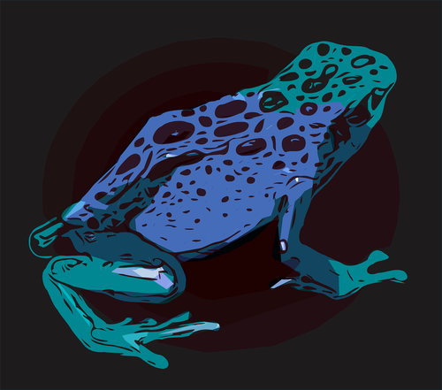 frog  animal  amphibian