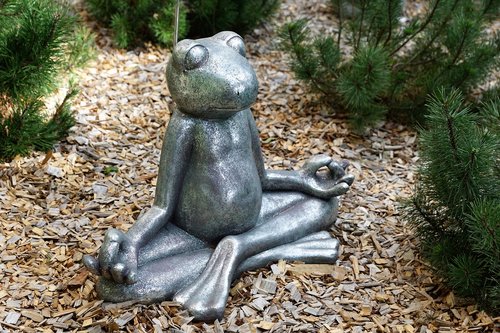 frog  rest  meditation