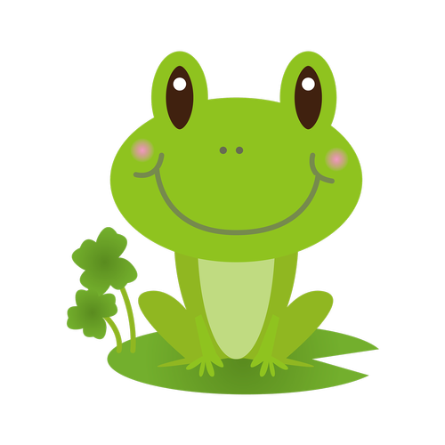 frog  green  rain