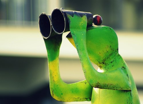 frog  binoculars  green