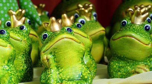 frog  frog prince  figure