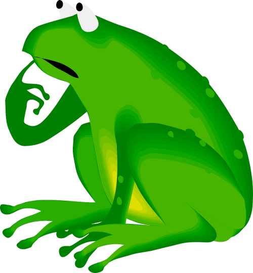 frog green animal