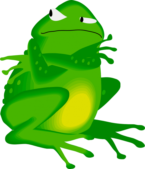 frog face amphibian