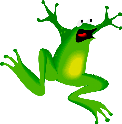 frog face amphibian