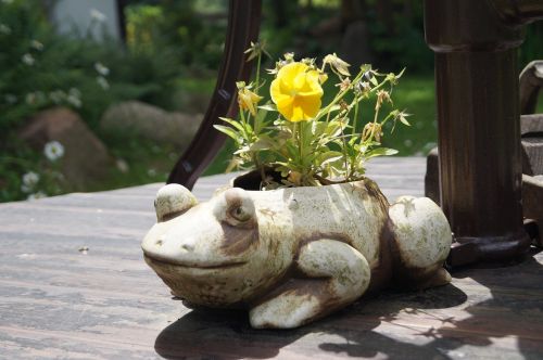 frog figure garden