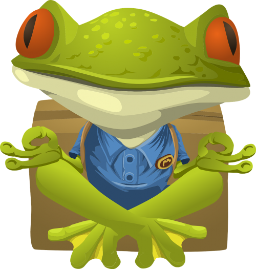 frog toad sitting