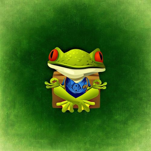 frog green animal