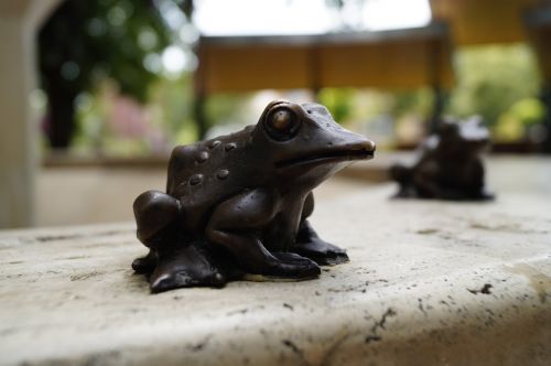 frog statue fountain