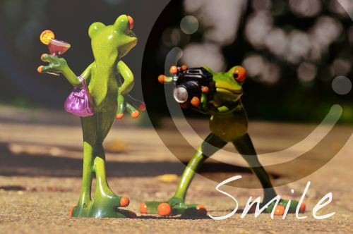 frog photographer model