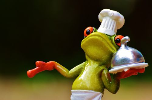 frog cooking eat