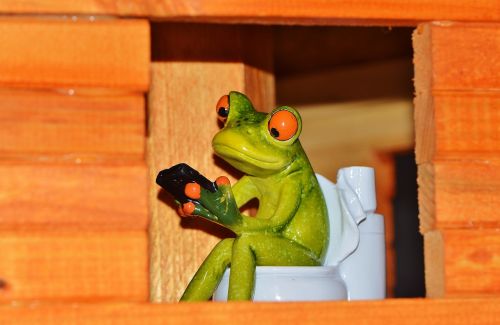 frog mobile phone window