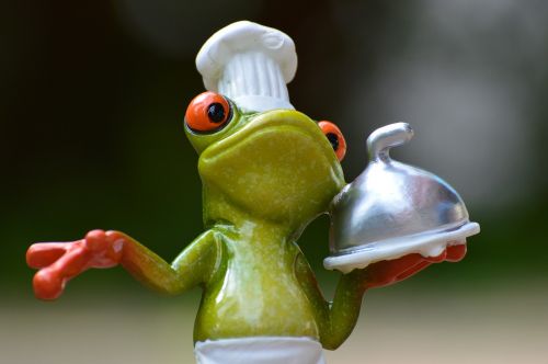 frog cooking eat