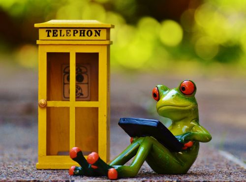 frog phone booth phone