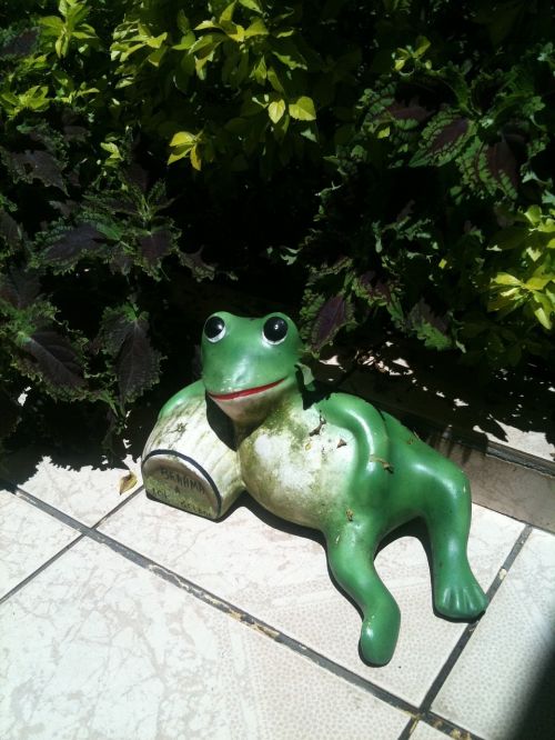 frog sculpture garden