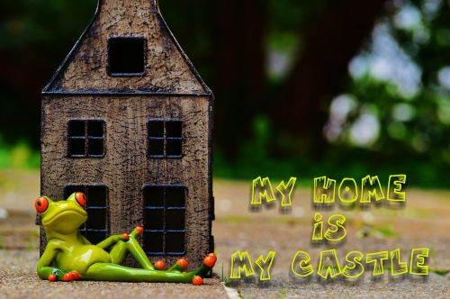 frog at home my home is my castle