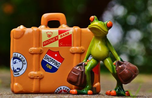 frog travel holiday