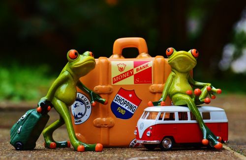 frog travel holiday