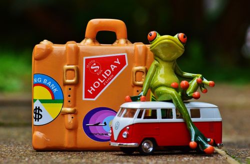 frog travel holiday