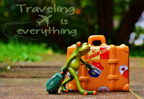 frog travel holiday