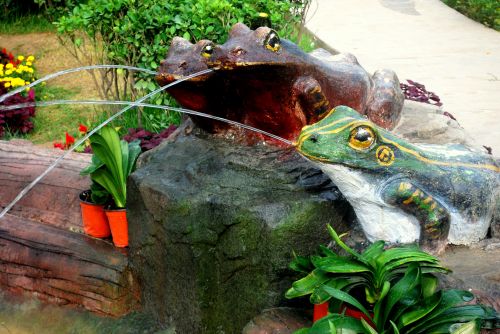 Frog Fountain