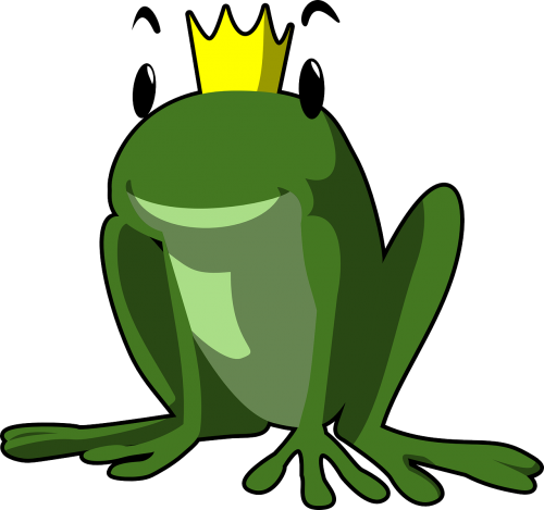 frog king fairytale frog