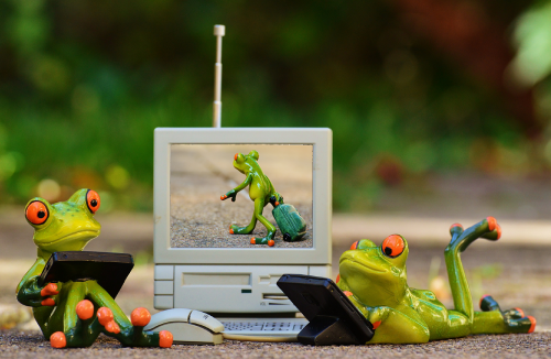 frogs computer laptop