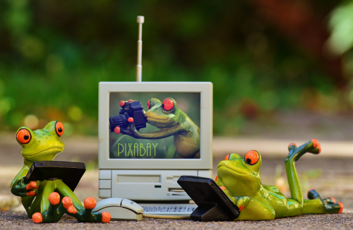 frogs computer pixabay