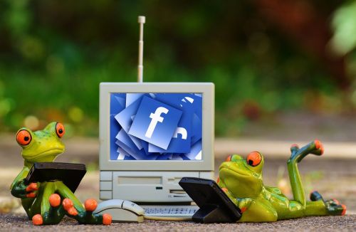 frogs computer facebook