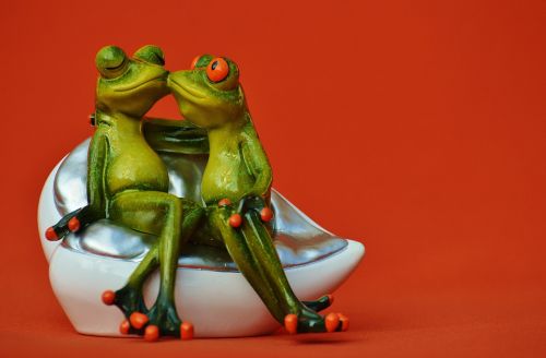 frogs lovers funny